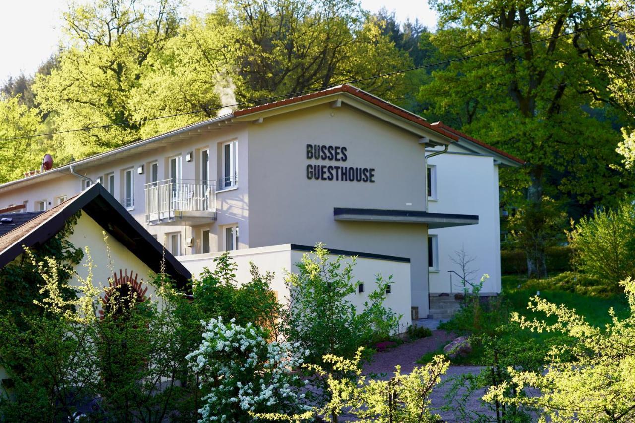 Busses Guesthouse Freiburg im Breisgau Exterior photo
